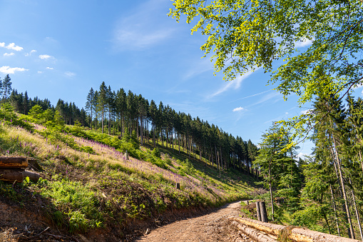 Landscape at Schomberg in Sauerland. Nature with forests and hiking trails near Sundern on the Lennegebirge.