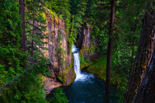 istock Toketee Falls in Douglas County, Oregon 1415135049