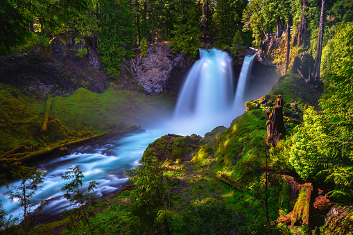 Sahalie Falls on McKenzie River located in the Willamette National Forest, Oregon, with very lush and green surroundings. Long exposure.