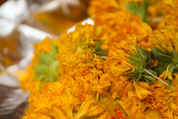 istock Hawan/Pooja Items: flowers Marigold garland 1415140924