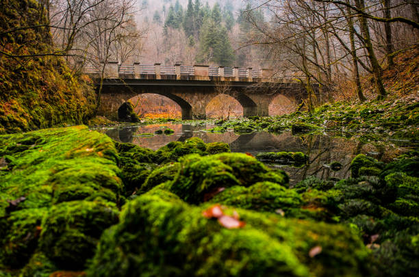 istock Wild lake, Idrija, Slovenia 1415141335