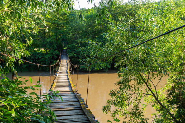 istock old suspension bridge over the river in the countryside going into perspective 1415141358