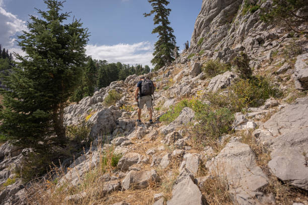 istock Mature man trail hiking in the forest 1415142724