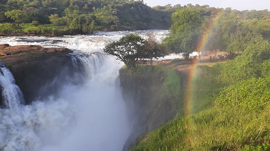 Murchison Falls National Park sits on the shore of Lake Albert, in northwest Uganda. Its known for Murchison Falls, where the Victoria Nile River surges through a narrow gap over a massive drop.