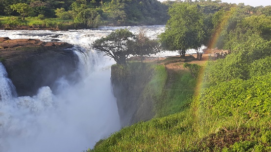 Murchison Falls National Park sits on the shore of Lake Albert, in northwest Uganda. Its known for Murchison Falls, where the Victoria Nile River surges through a narrow gap over a massive drop.