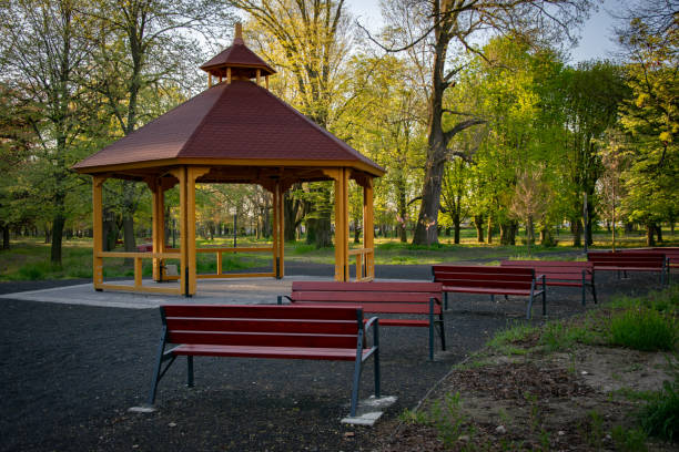 istock Pagoda sunshade in the park 1415143809