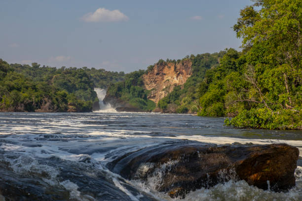 istock Murchison Falls National Park Uganda 1415143843