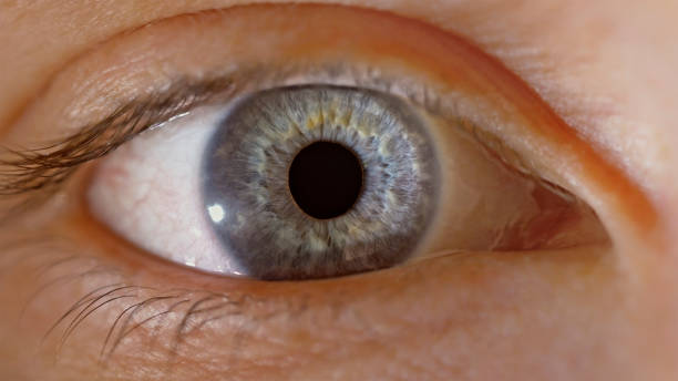 istock Grey eye of woman 1415144127