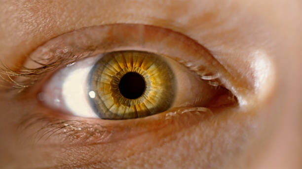 istock Hazel eye of woman 1415144143