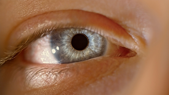 Extreme close-up of woman's grey eye.