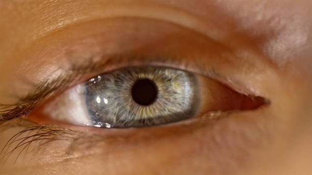 istock Grey eye of woman 1415144162