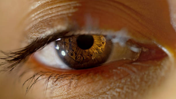 istock Brown eye of woman 1415144164