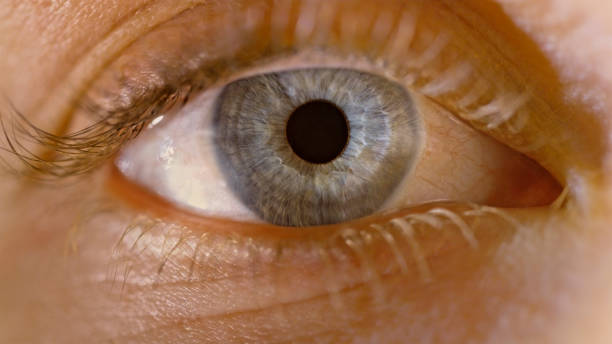 istock Grey eye of woman 1415144171