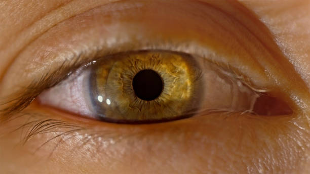 istock Hazel eye of woman 1415144179