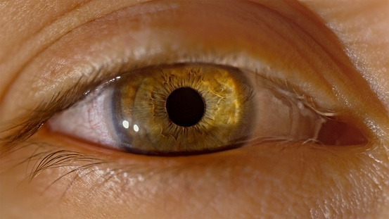 Extreme close-up of woman's hazel eye.