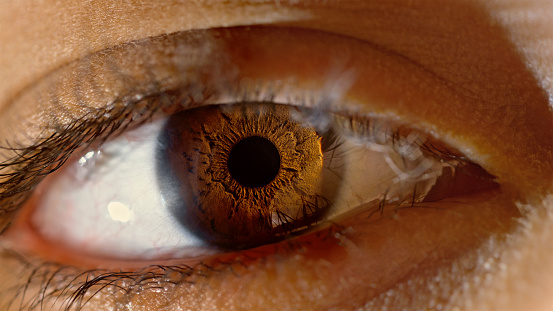 Extreme close-up of man's brown eye.