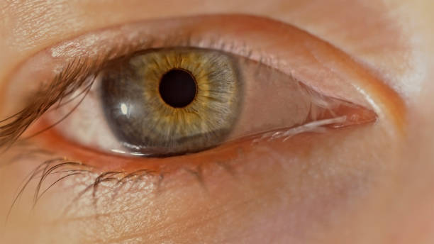 istock Hazel eye of woman 1415144188