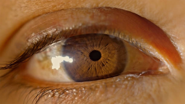 istock Brown eye of man 1415144196