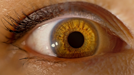 Extreme close-up of woman's brown eye.