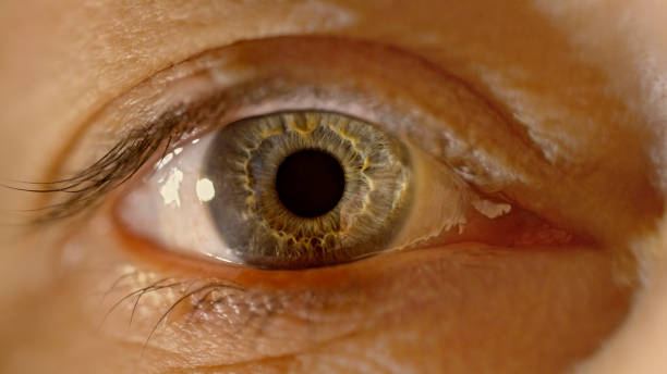 istock Hazel eye of woman 1415144205