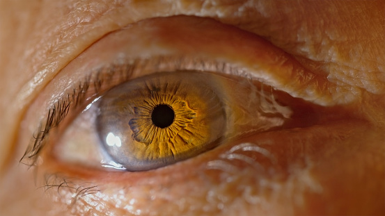 Extreme Close Up Of Eye Of Woman Against White Studio Background