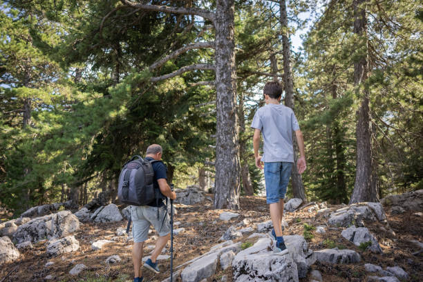 istock Dad and his son walking in beautiful nature in forest. 1415146008