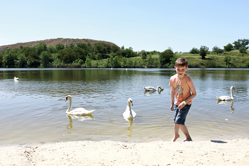 Portrait of boy with swans on lake