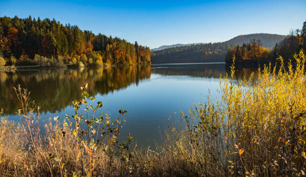 istock Gradisko lake, Lukovica, Slovenia 1415147412