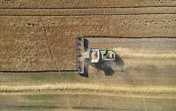 istock Directly above combine harvester 1415147662