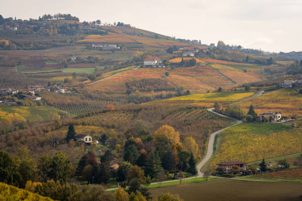 istock Autumnal foliage in Langhe, Piemonte 1415149819