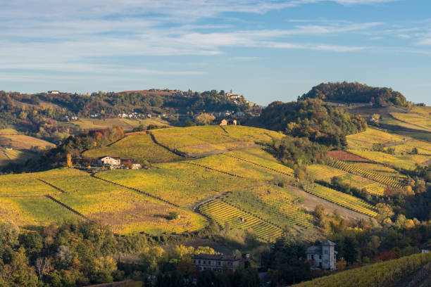istock Autumnal foliage in Langhe, Piemonte 1415150496