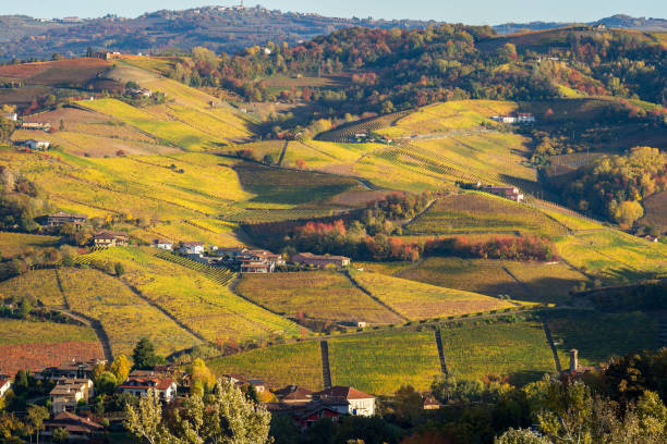 istock Autumnal foliage in Langhe, Piemonte 1415151111