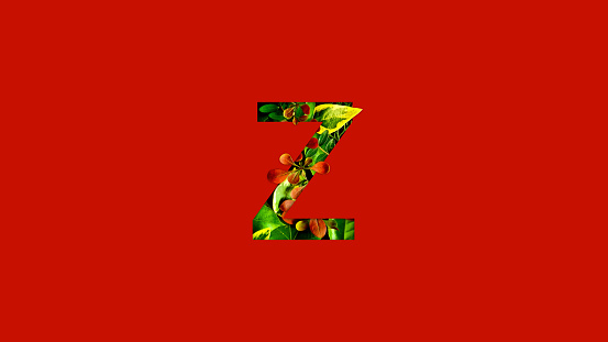 Letter Z made of colorful tropical leaves. Leaf font concept. Unique collection of letters and numbers. Spring, summer and valentines creative idea. Tropical vibes.