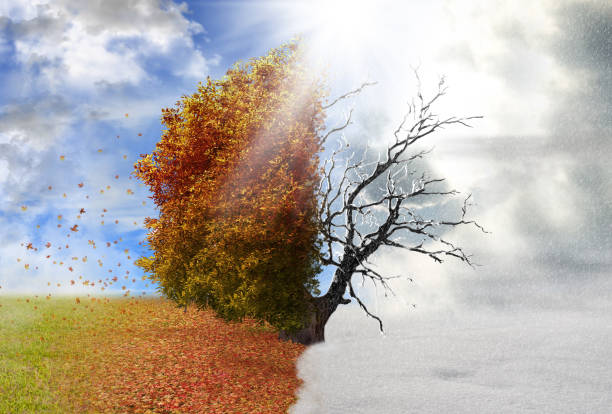 istock Season change, from autumn to winter 1415151673