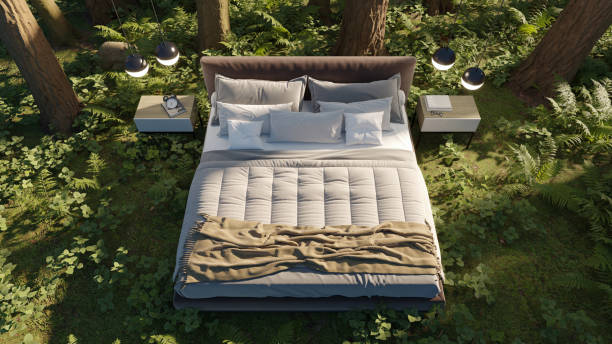 istock 3d-render. A bed in an summer forest in a clearing among trees. 1415152689