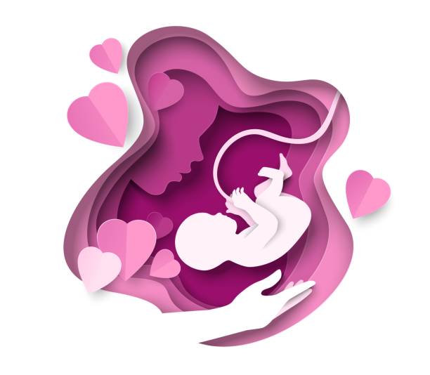 weiblicher kopf und baby fötus papier geschnitten 3d-vektor - menschliche fruchtbarkeit stock-grafiken, -clipart, -cartoons und -symbole