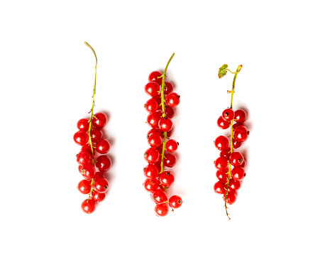 Red currant bunch isolated. Redcurrant pile, ripe red currant berries group on white background top view