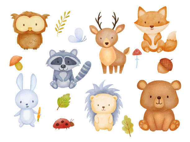 Collection of forest animals, mushroom, plant. Watercolor illustration isolated on white for greeting card, invitation, baby shower party. Cartoon characters bear, hedgehog, owl, raccoon, fox. Collection of forest animals, mushroom, plant. Watercolor illustration isolated on white background for greeting card, invitation. Cartoon characters bear, hedgehog, owl, raccoon, fox. ladybird book stock illustrations