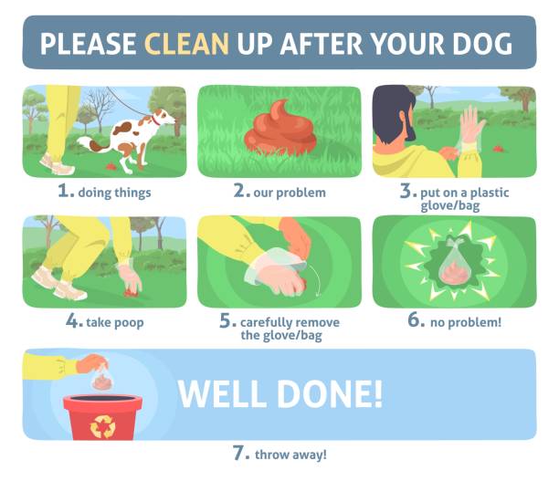 zestaw infografik wektorowych clean up dog poop - plastic bag bag transparent plastic stock illustrations