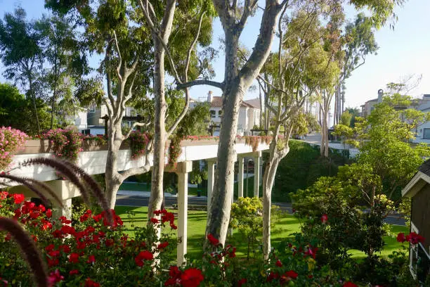 Photo of Goldenrod footbridge across Bayside Drive on a sunny afternoon