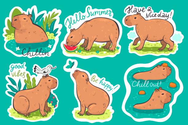 Set of stickers with capybaras and inscriptions. Vector graphics. Set of stickers with capybaras and inscriptions. Vector image. capybara stock illustrations