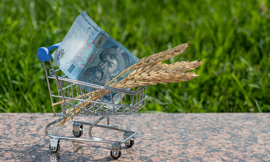 Ears of wheat and a banknote of 5 Ukrainian hryvnias in a miniature shopping cart