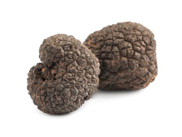 istock Fresh whole black truffles isolated on white 1415173004
