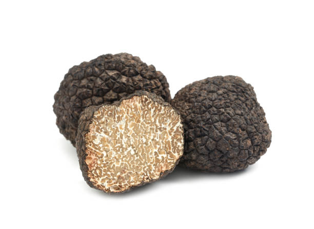 istock Cut and whole black truffles isolated on white 1415173043