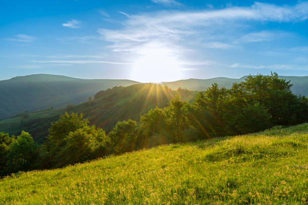 istock Sunrise over Apetska mountain, camping in Dubove, Ukraine 1415178914