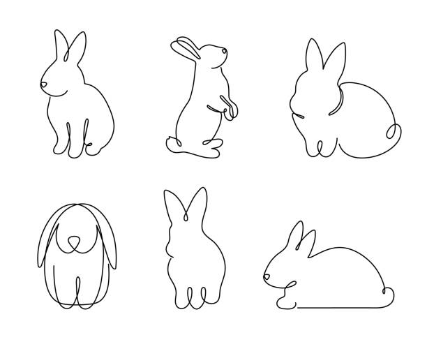 ilustraciones, imágenes clip art, dibujos animados e iconos de stock de conejo conjunto de una línea de arte, contorno continuo de conejito dibujado a mano. animales, símbolo de 2023 por el horóscopo chino. diseño minimalista simple. trazo editable. - disfraz de conejo