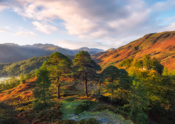 paesaggi del lake district inglese - uk mountain color image cumbria foto e immagini stock