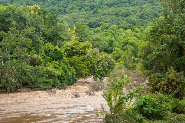 istock Muddy strong water inundation - Disaster scene. 1415183683