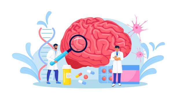 ilustrações, clipart, desenhos animados e ícones de cientista estuda cérebro humano e psicologia. o caráter médico neurologista examina o tratamento de comprimidos controlados por órgãos enormes e diagnósticos. diagnóstico de doenças de neurologia. tratar dor de cabeça, enxaqueca. - scientific experiment scientist research small