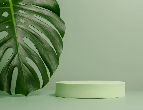 istock Green cylinder display with monstera leaf, minimal aesthetic style. 1415187704